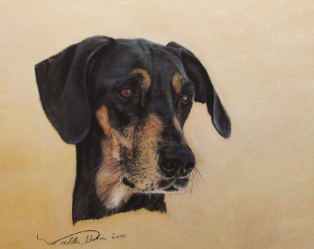 pastell mit kohle